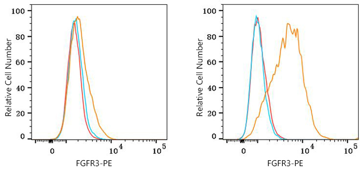 PE Rabbit anti-Human FGFR3 mAb