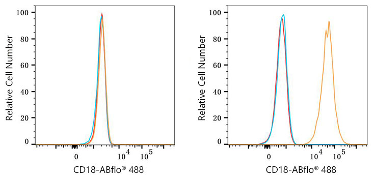 ABflo® 488 Rabbit anti-Human CD18 mAb