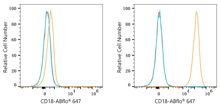 ABflo® 647 Rabbit anti-Human CD18 mAb