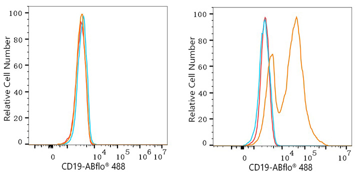 ABflo® 488 Rabbit anti-Dog CD19 mAb