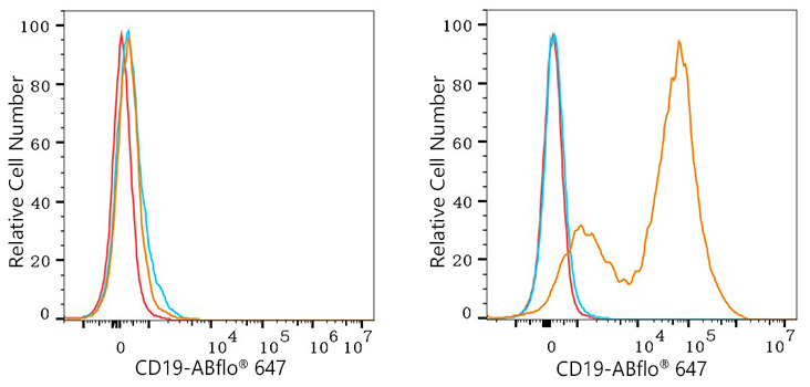 ABflo® 647 Rabbit anti-Dog CD19 mAb
