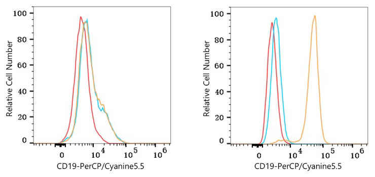 PerCP/Cyanine5.5 Rabbit anti-Mouse CD19 mAb