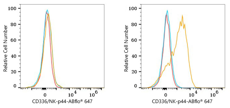 ABflo® 647 Rabbit anti-Human CD336/NK-p44 mAb