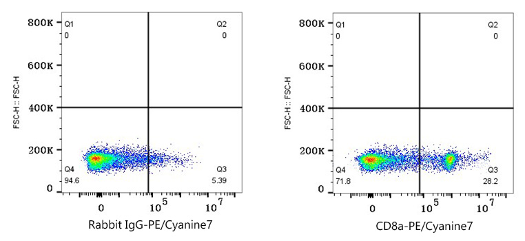 PE/Cyanine7 Rabbit anti-Human/Monkey CD8a mAb