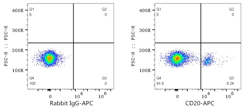 APC Rabbit anti-Human/Monkey CD20 mAb