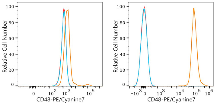 PE/Cyanine7 Rabbit anti-Mouse CD48 mAb