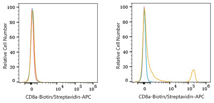 Biotin Rabbit anti-Mouse CD8a mAb