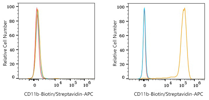 Biotin Rabbit anti-Mouse CD11b mAb