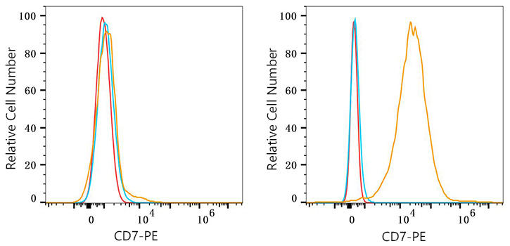 PE Rabbit anti-Human CD7 mAb