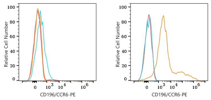 PE Rabbit anti-Human CD196/CCR6 mAb