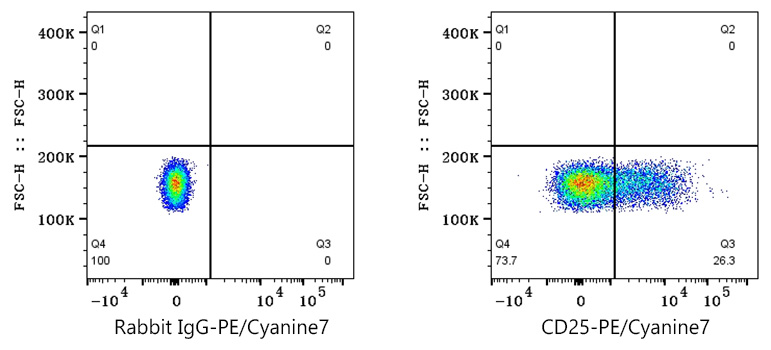 PE/Cyanine7 Rabbit anti-Human CD25 mAb