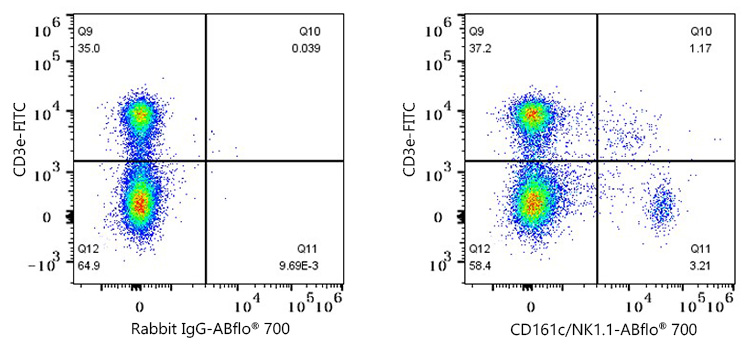 ABflo® 700 Rabbit anti-Mouse CD161c/NK1.1 mAb