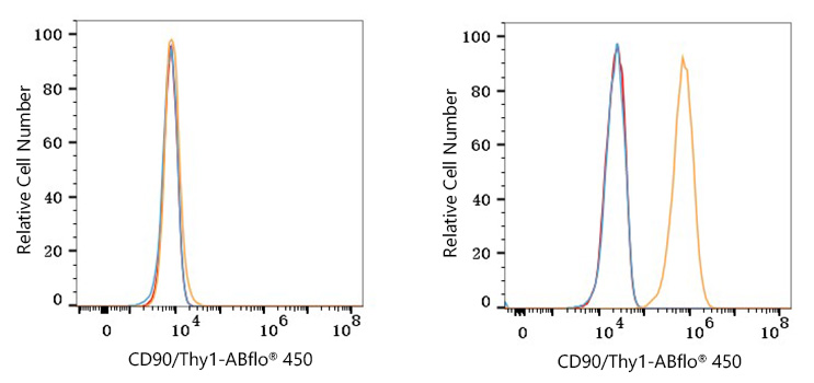 ABflo® 450 Rabbit anti-Human CD90/Thy1 mAb