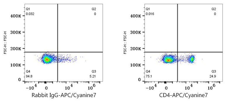 APC/Cyanine7 Rabbit anti-Mouse CD4 mAb-Monoclonal Antibodies - ABclonal ...