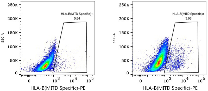PE Rabbit anti-Human HLA-B (MITD Specific) mAb-Monoclonal Antibodies ...