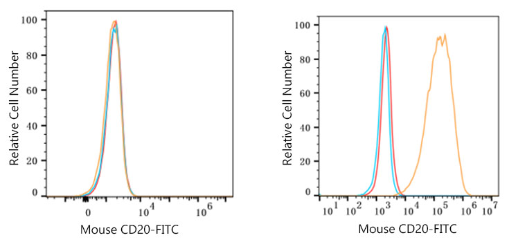 FITC-conjugated Goat anti-Rat IgG (H+L)