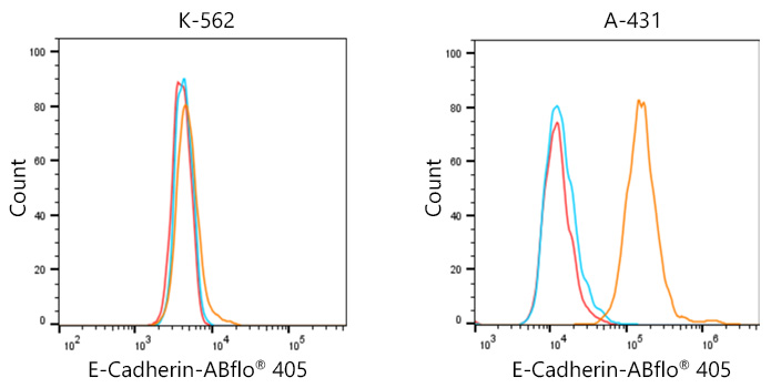 ABflo® 405-conjugated Goat anti-Rabbit IgG (H+L)