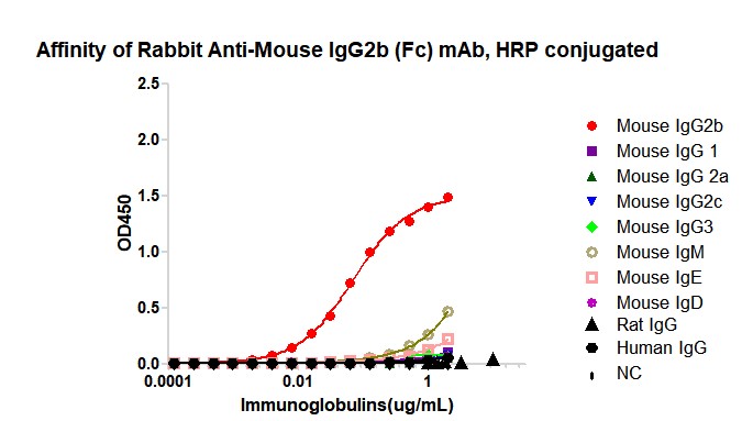 HRP conjugated Rabbit Anti-Mouse IgG2b (Fc) mAb