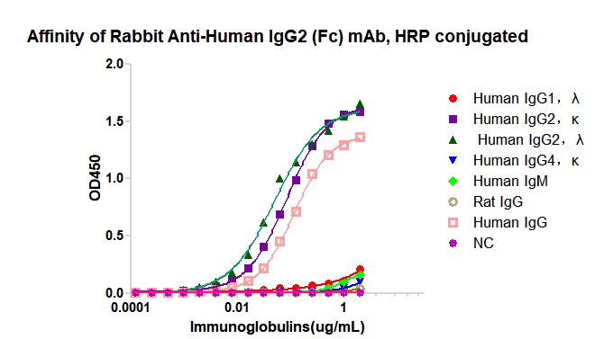 HRP conjugated Rabbit Anti-Human IgG2 (Fc) mAb