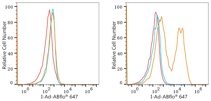 ABflo® 488 Rabbit anti Mouse IgG3 (Fc) mAb-Secondary Antibodies ...