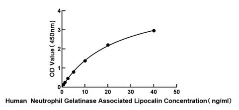 Human Neutrophil Gelatinase Associated Lipocalin ELISA Kit