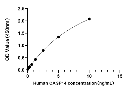 Human Caspase 14 (CASP14) ELISA Kit