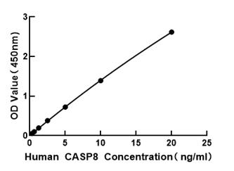 Human Caspase 8 ELISA Kit (CASP8)