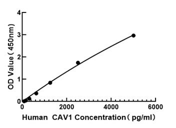 Human Caveolin 1 ELISA Kit (CAV1)