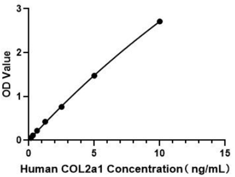 Human Collagen Type II Alpha 1 ELISA Kit (COL2a1)