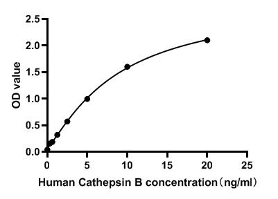 Human Cathepsin B ELISA Kit