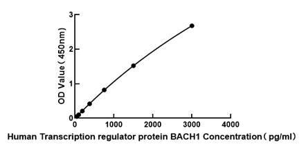 Human Transcription regulator protein BACH1 ELISA Kit