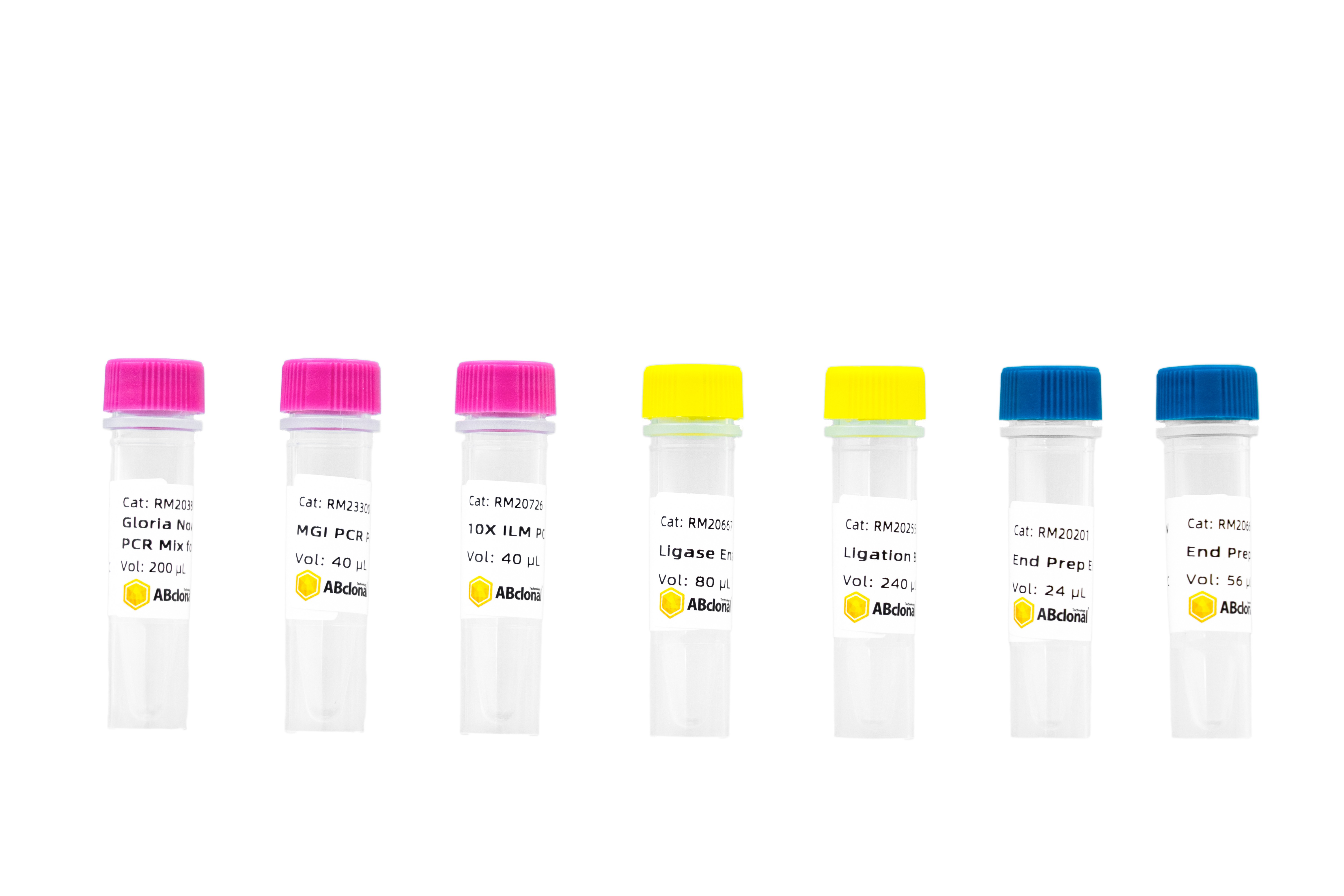 Rapid Plus DNA Lib Prep Kit V2 (No DDREs)