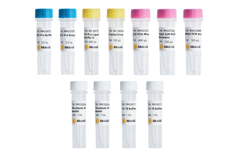 FS Pro DNA Lib Prep Kit V2-NGS Library Prep - ABclonal/拜爾國際(BioAb)