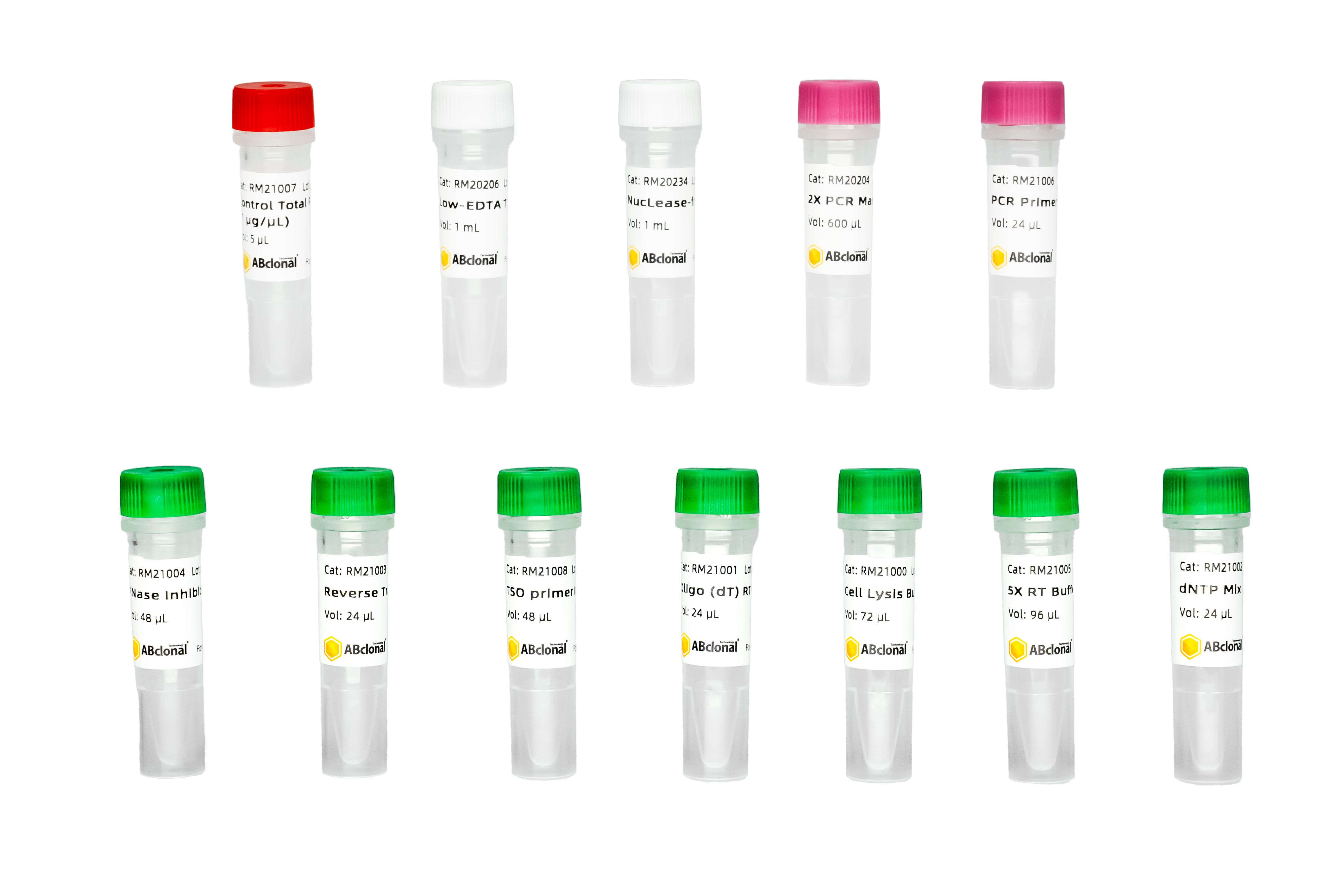 Single Cell/Low Input cDNA Synthesis & Amplification Module