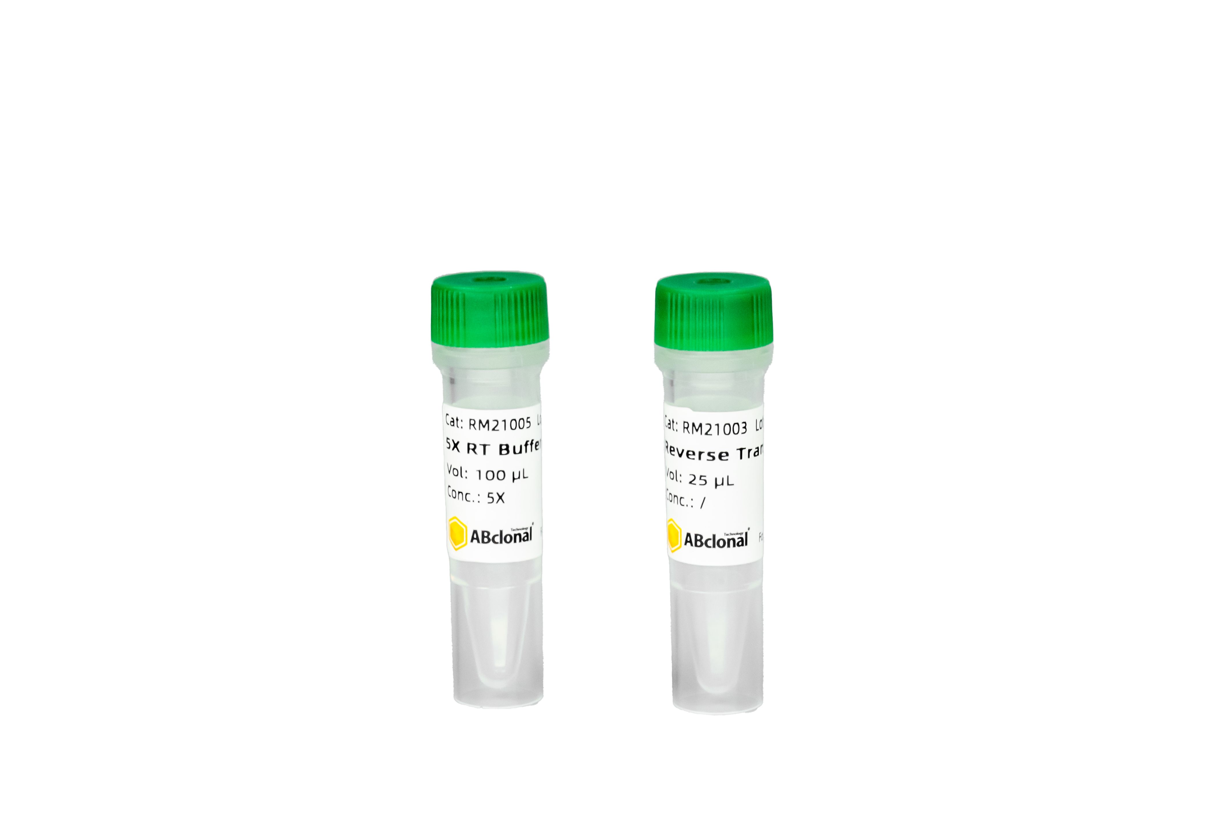 ABScript Full Length Reverse Transcriptase for Single Cell