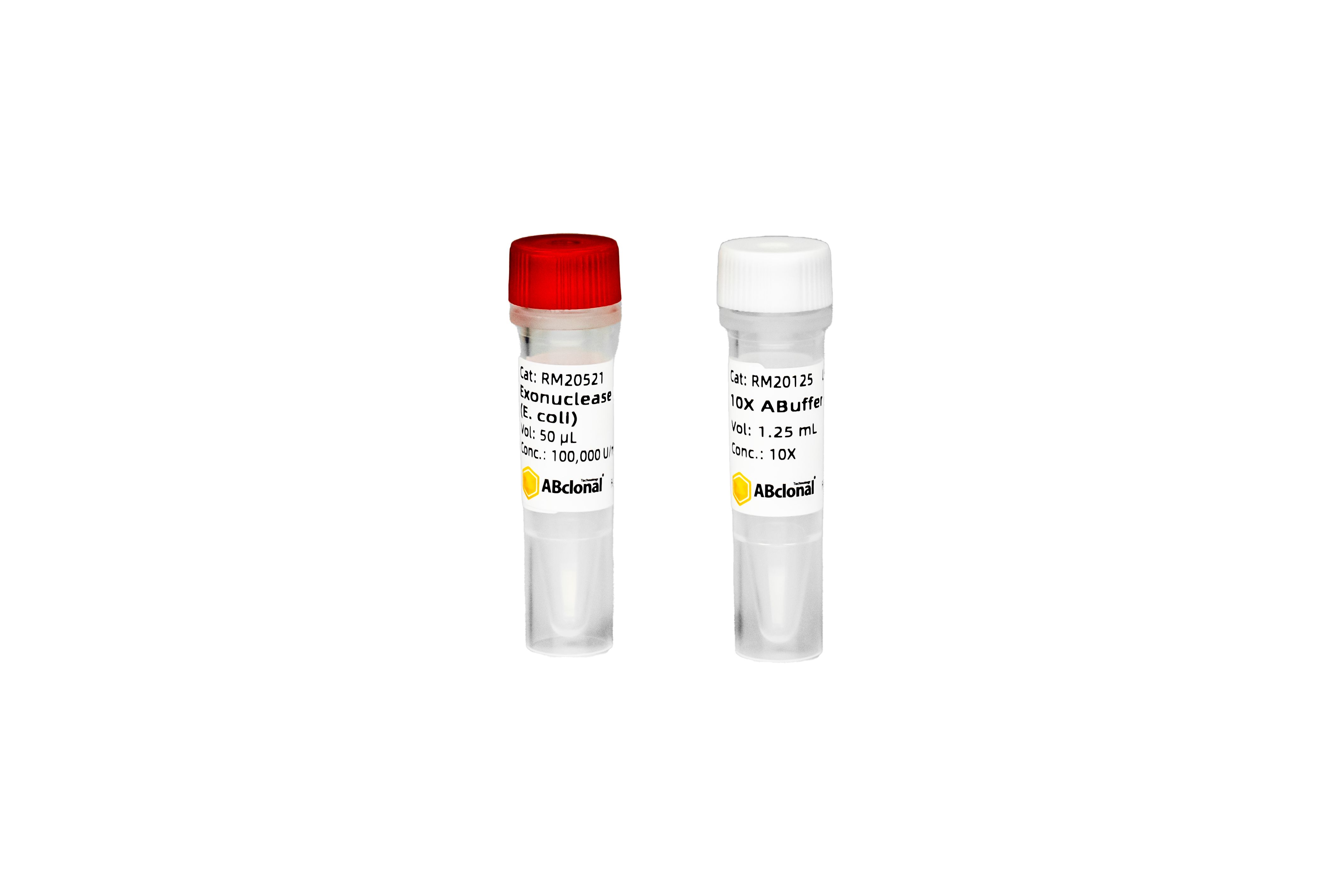 Exonuclease I (E. coli)