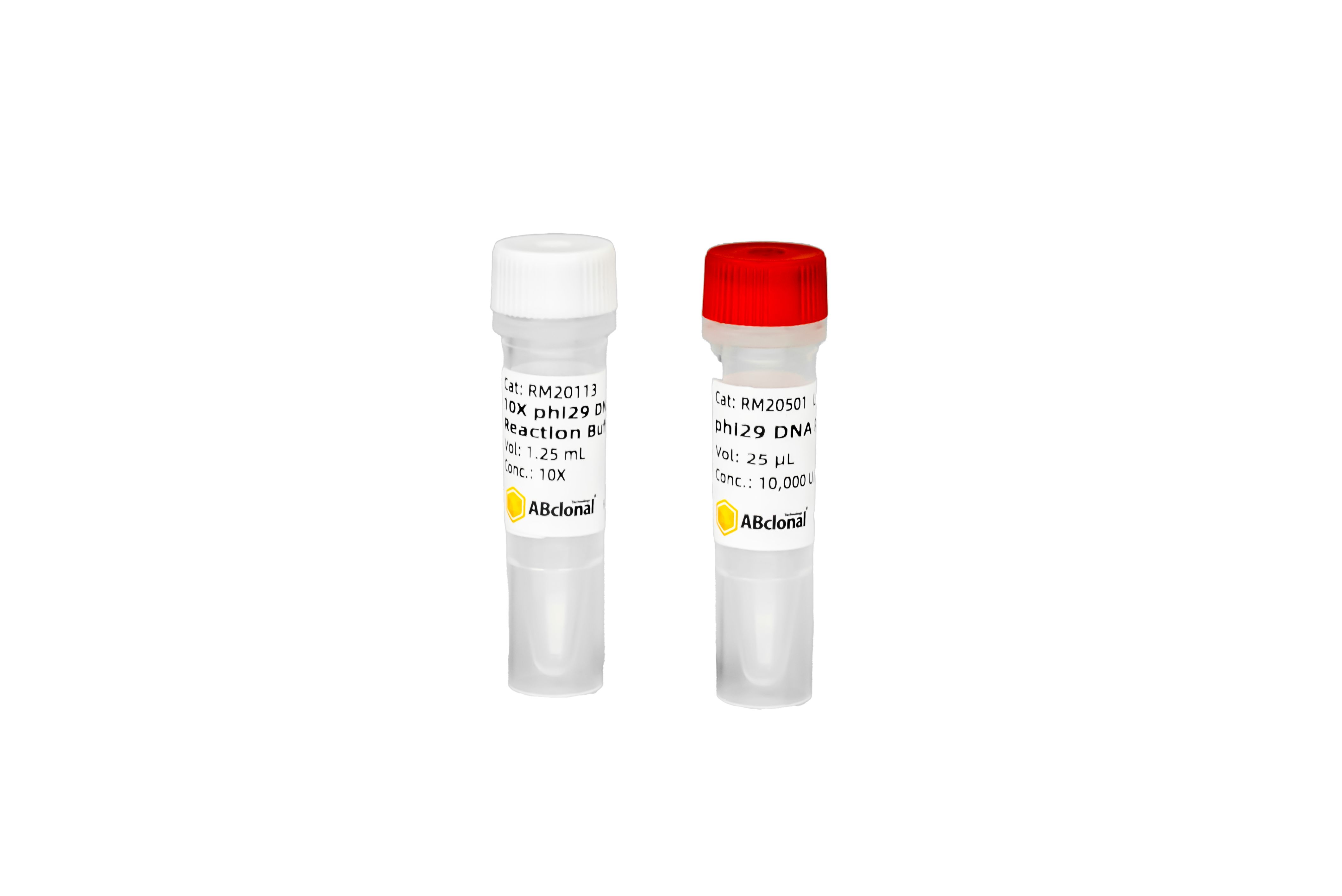 DNAコイル　15p3oz DNA コイル - ハイスポーツ社 ：信頼のボウリング用品販売