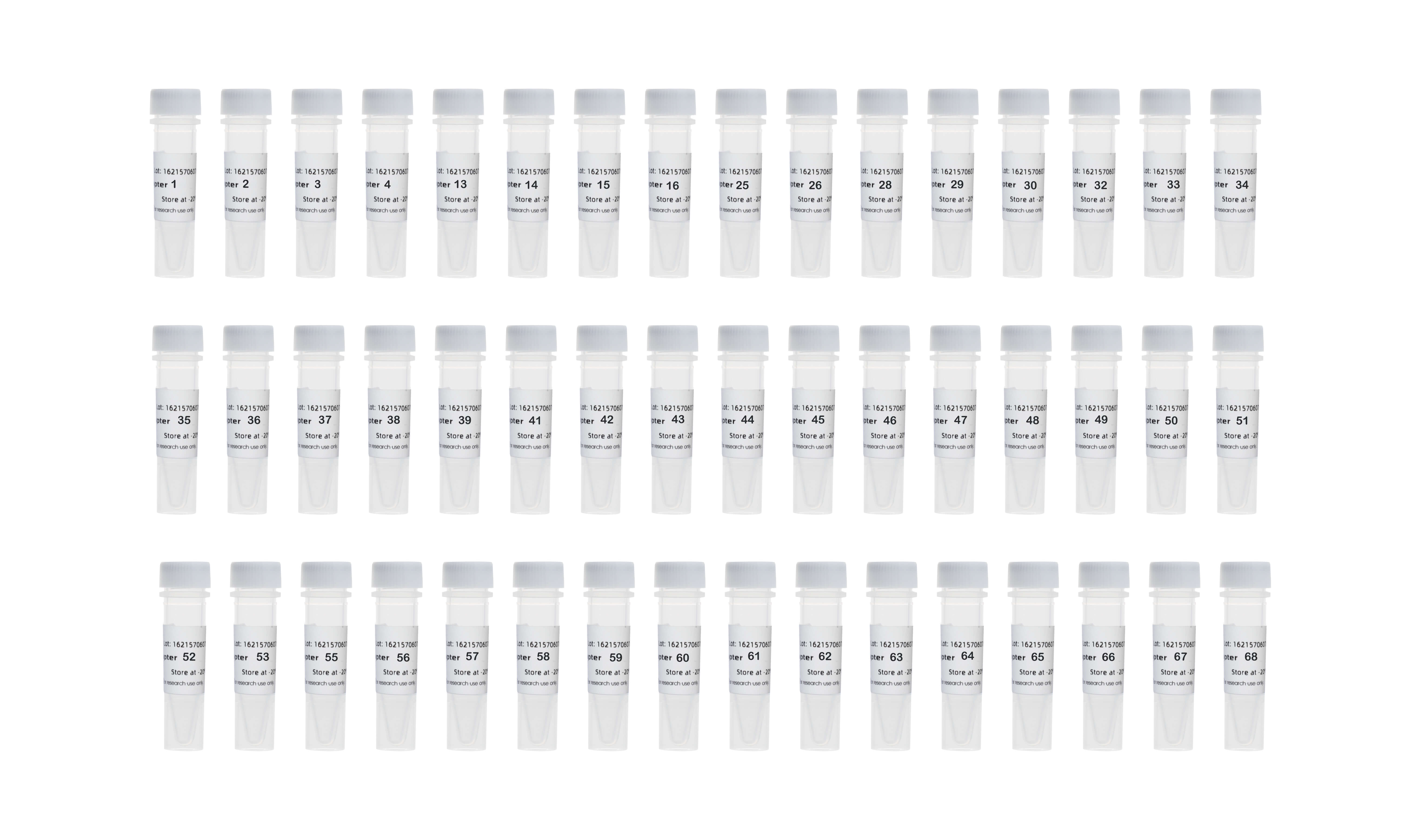 Full DNA Adapters Kit for MGI Set A（48 indices）