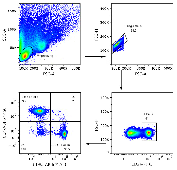 Mouse T Cells Panel-Monoclonal Antibodies - ABclonal/拜爾國際(BioAb)
