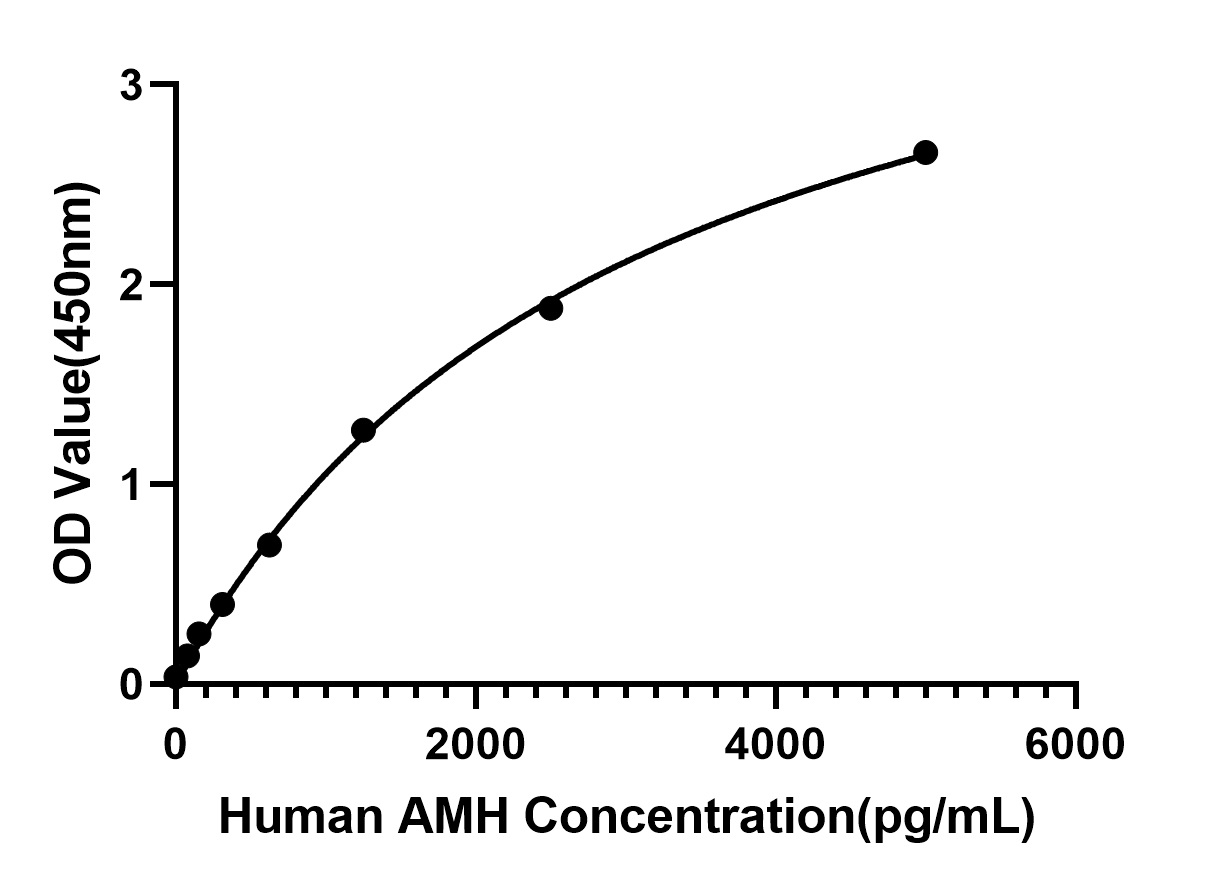 Rabbit anti-Human AMH/MIS mAb（DET)