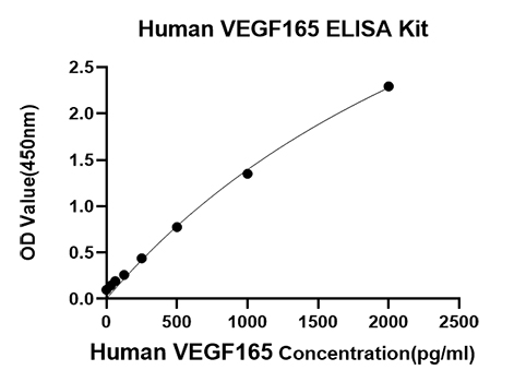 Rabbit anti-Human VEGF165 mAb