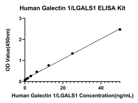 Rabbit anti-Human Galectin 1/LGALS1 mAb (CAP)