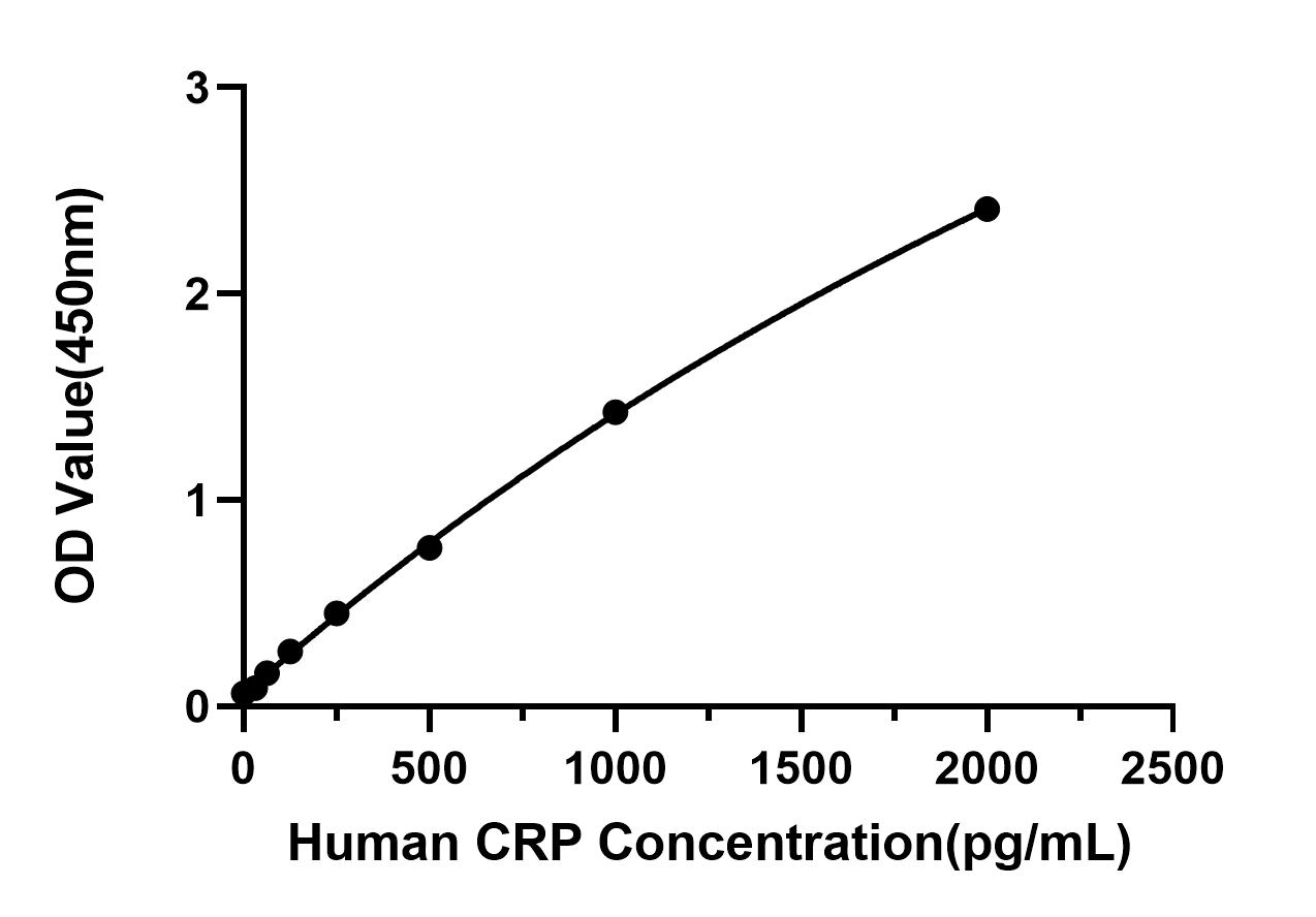 Rabbit anti-Human CRP mAb