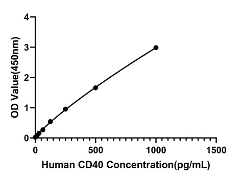 Rabbit anti-Human CD40 mAb (CAP)