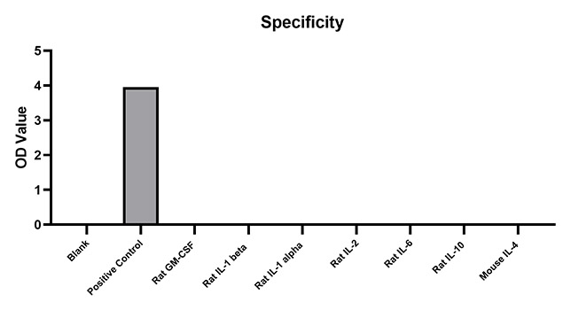 Rabbit anti-Rat IL-4 mAb