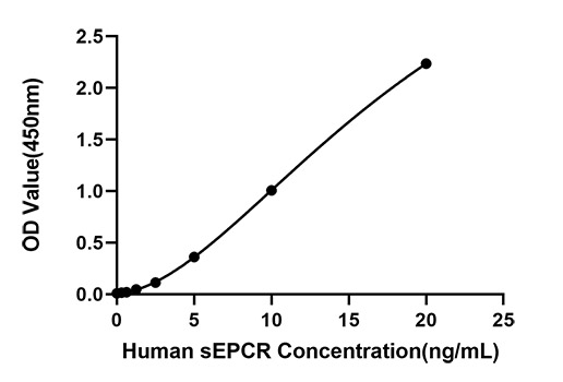 Rabbit anti-Human  Soluble Endothelial Protein C Receptor (sEPCR)  mAb(DET)