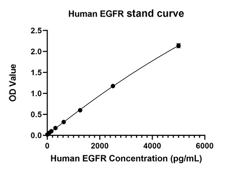 Rabbit anti-Human EGFR mAb(DET)