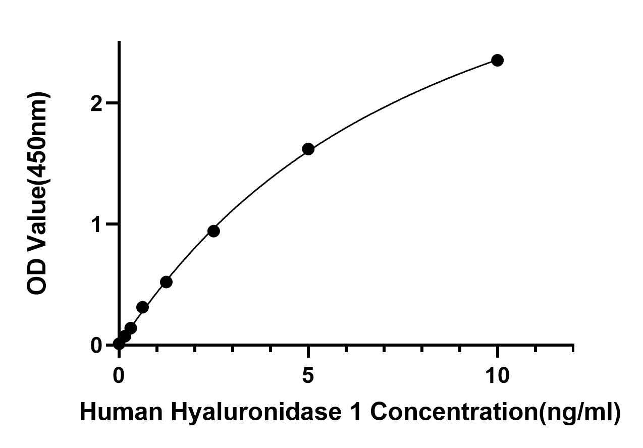 Rabbit anti-Human Hyaluronidase 1/HYAL1 mAb(CAP)