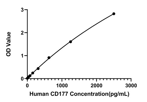 Rabbit anti-Human CD177 mAb(DET)