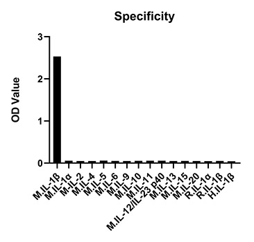 Rabbit anti-Mouse IL-1 beta mAb